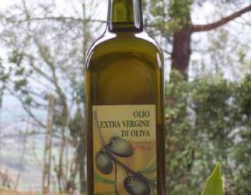 la vigna